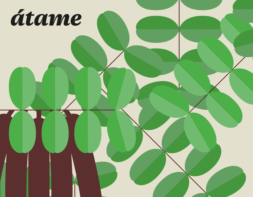 Asociación Cultural Átame